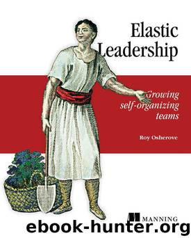 Elastic Leadership: Growing self-organizing teams by Roy Osherove