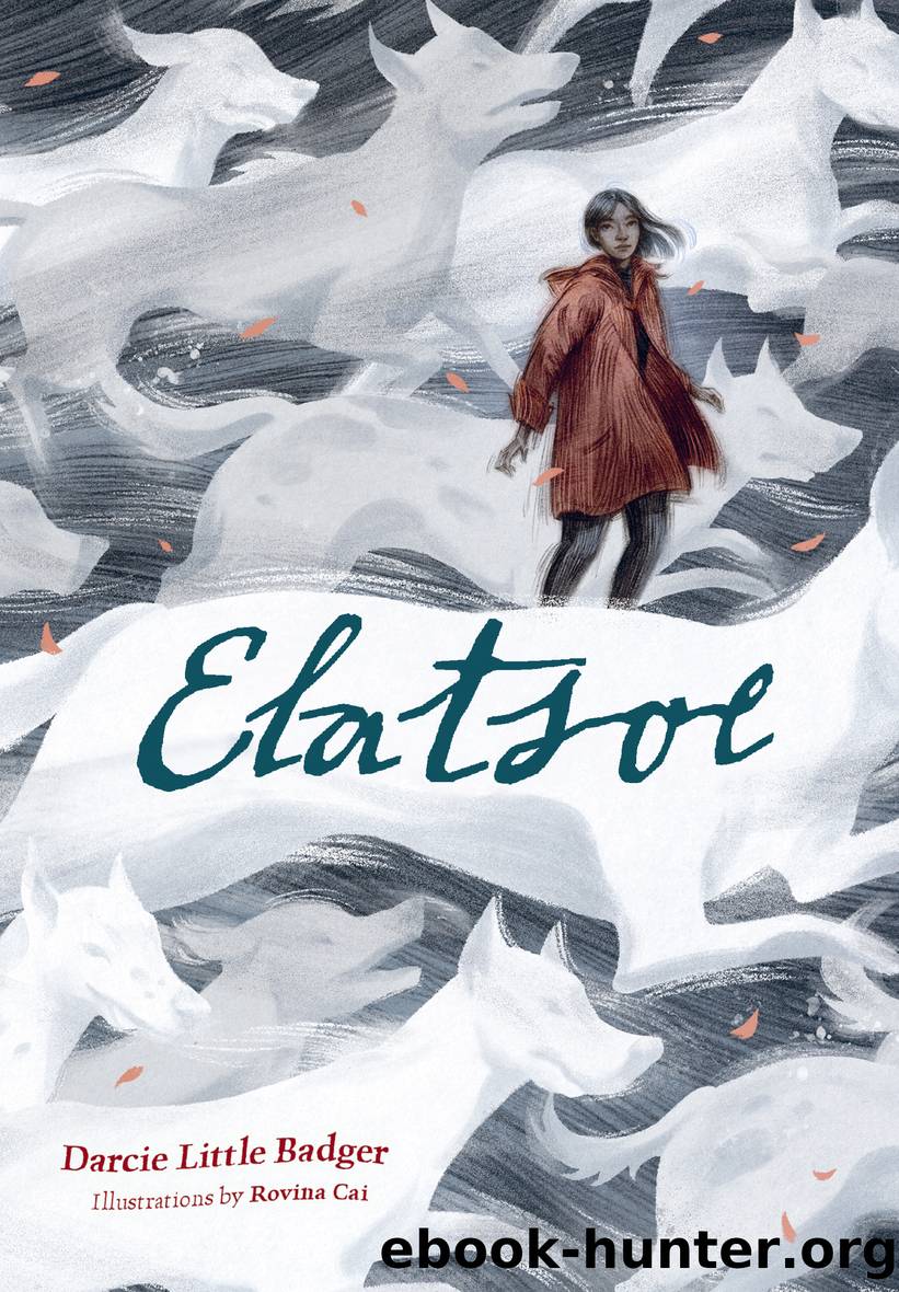 Elatsoe by Darcie Little Badger