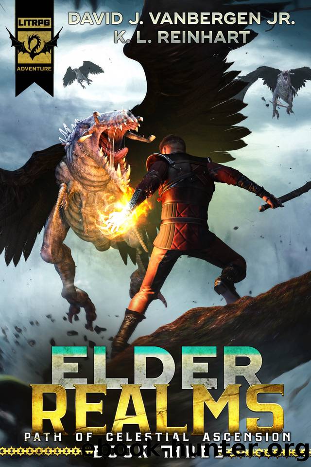 Elder Realms: A LitRPG Adventure (Path of Celestial Ascension Book 3) by David J. VanBergen Jr. & K. L. Reinhart