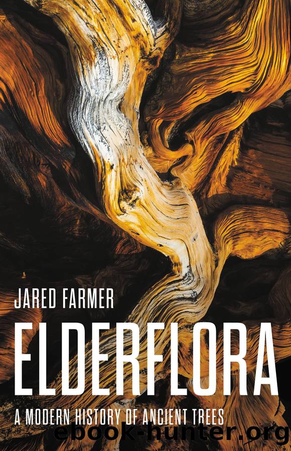 Elderflora: a Modern History of Ancient Trees by Jared Farmer