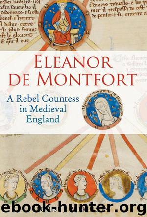 Eleanor de Montfort: A Rebel Countess in Medieval England by Louise J. Wilkinson