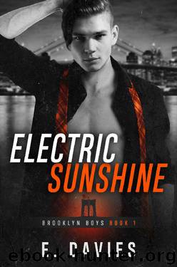 Electric Sunshine (Brooklyn Boys Book 1) by E. Davies