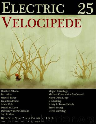 Electric Velocipede Issue 25 by Megan Kurishage & Mishell Baker & Ash Krafton & Tyson Young & Alicia Cole & Katya Olivia-Llego & Daniel W. Davis & Bart Allen & Michael Constantine McConnell & Derek Zumsteg & Lida Broadhurst & Kristy L. Truax-Nichols & J.R. Salling & Damien Walters Grintalis & Heather Albano & John Klima