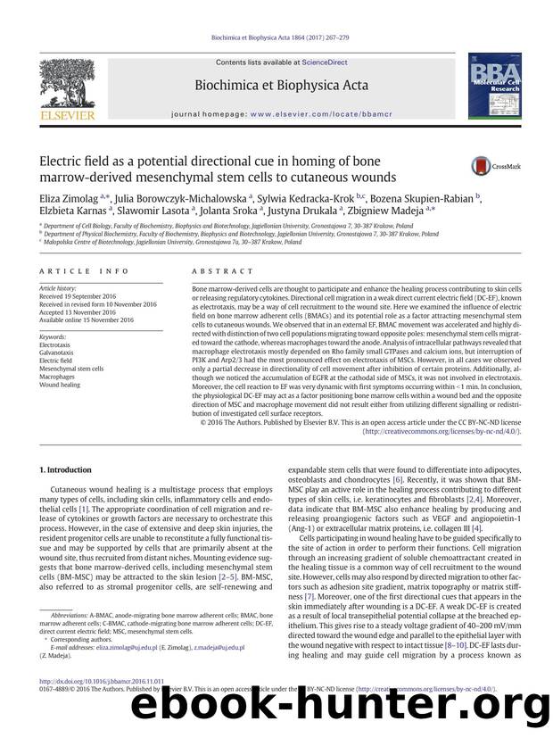 Electric field as a potential directional cue in homing of bone marrow-derived mesenchymal stem cells to cutaneous wounds by unknow
