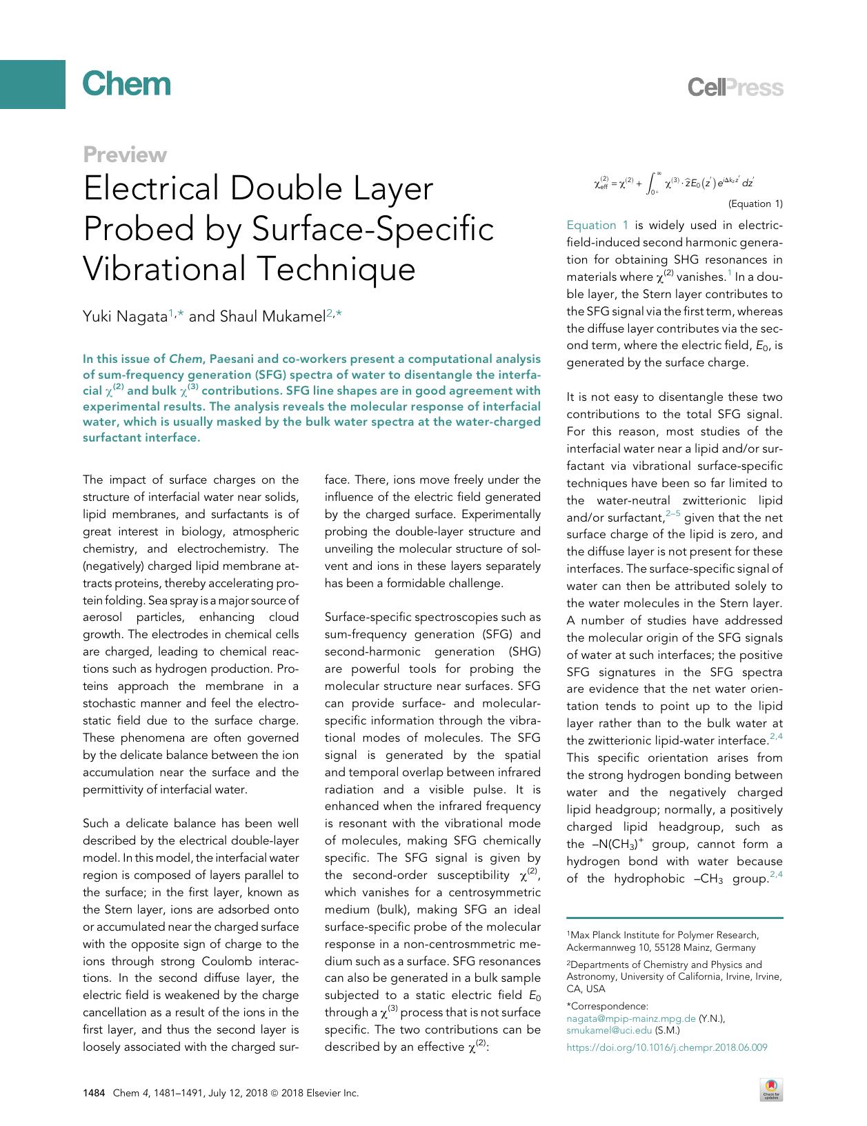 Electrical Double Layer Probed by Surface-Specific Vibrational Technique by Yuki Nagata & Shaul Mukamel