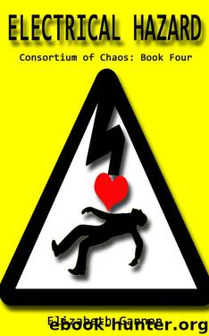 Electrical Hazard (Consortium of Chaos Book 4) by Elizabeth Gannon