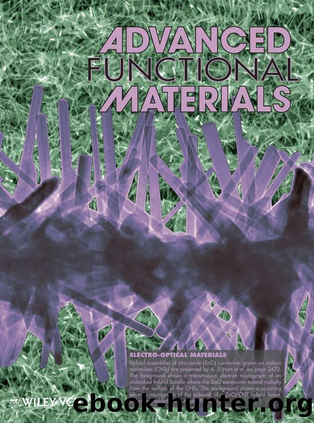 ElectroOptical Materials: Electrically Addressable Hybrid Architectures of Zinc Oxide Nanowires Grown on Aligned Carbon Nanotubes (Adv. Funct. Mater. 152010) by Unknown