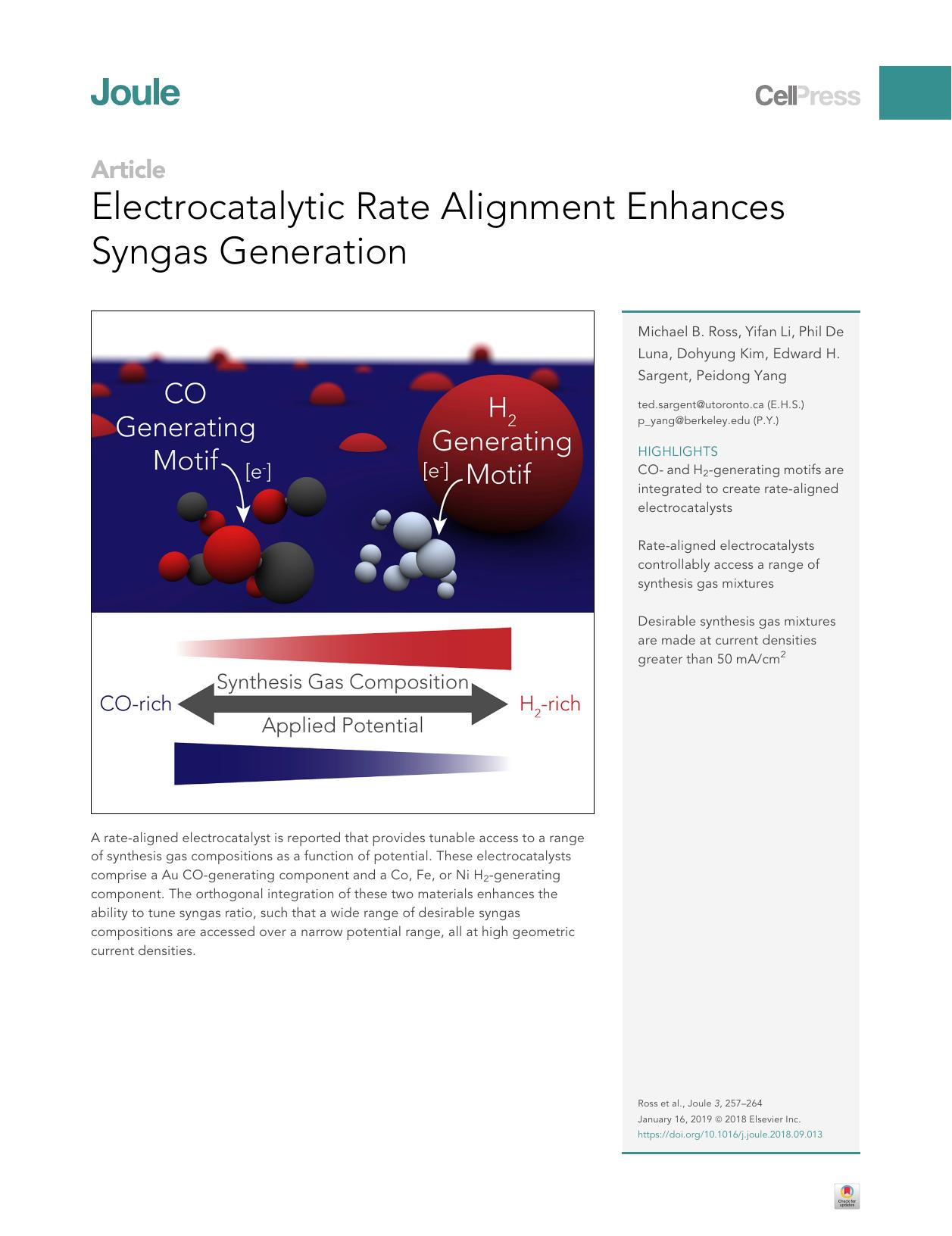 Electrocatalytic Rate Alignment Enhances Syngas Generation by Michael B. Ross & Yifan Li & Phil De Luna & Dohyung Kim & Edward H. Sargent & Peidong Yang