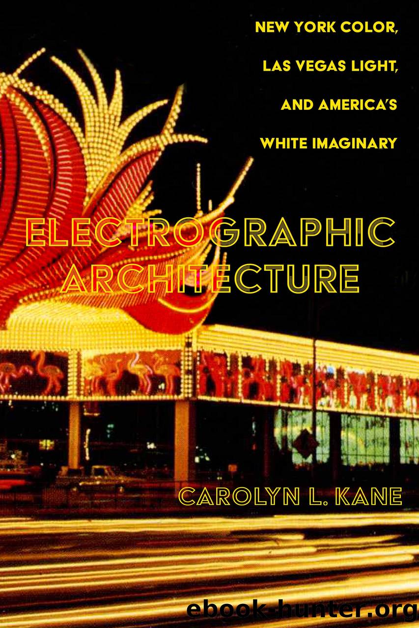 Electrographic Architecture by Prof. Carolyn L. Kane;