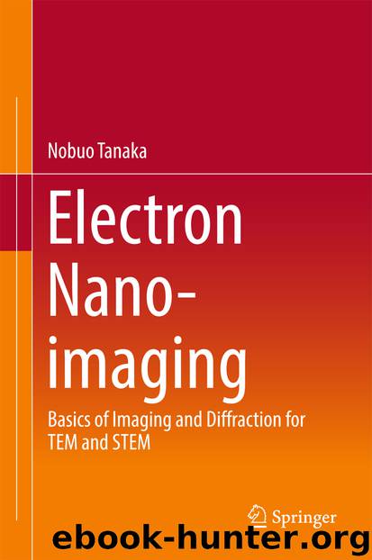 Electron Nano-Imaging by Nobuo Tanaka
