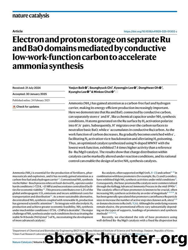 Electron and proton storage on separate Ru and BaO domains mediated by conductive low-work-function carbon to accelerate ammonia synthesis by Yaejun Baik & Seunghyuck Chi & Kyeongjin Lee & DongHwan Oh & Kyungho Lee & Minkee Choi