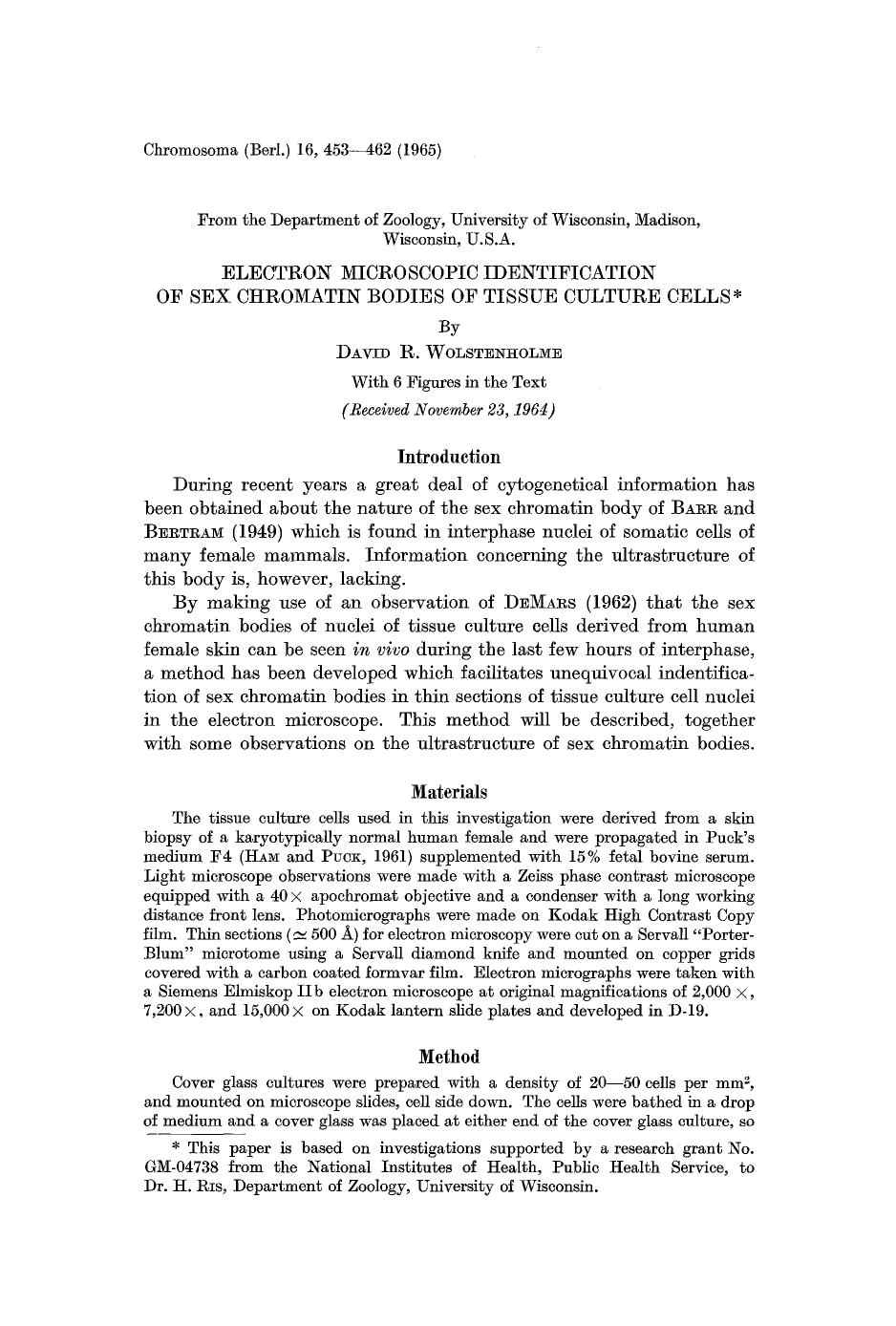 Electron microscopic identification of sex chromatin bodies of tissue culture cells by Unknown