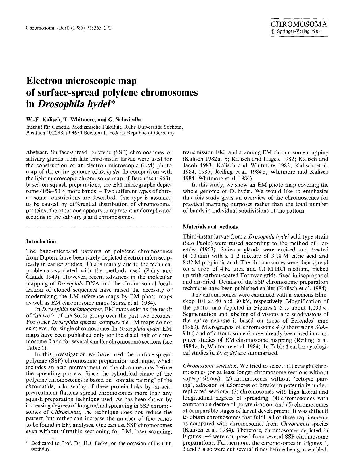 Electron microscopic map of surface-spread polytene chromosomes in <Emphasis Type="Italic">Drosophila hydei<Emphasis> by Unknown