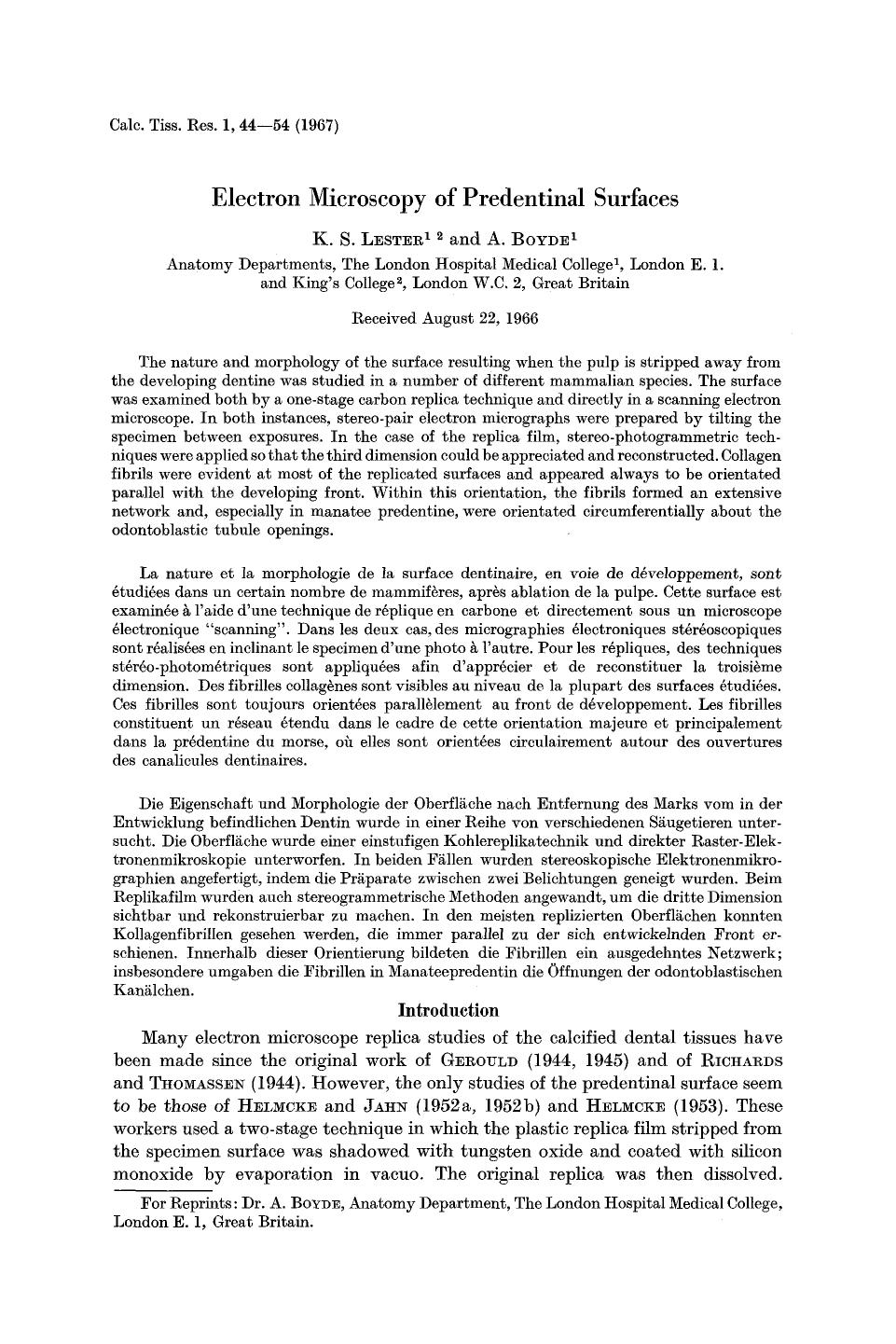 Electron microscopy of predentinal surfaces by Unknown