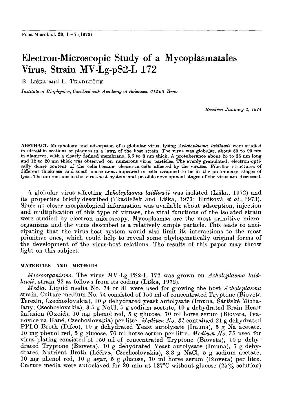 Electron-microscopic study of a mycoplasmatales virus, strain MV-Lg-pS2-L 172 by Unknown