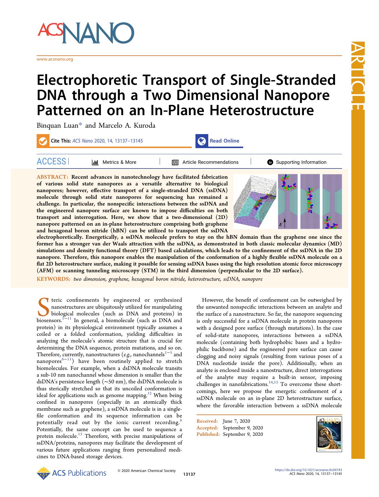Electrophoretic Transport of Single-Stranded DNA through a Two Dimensional Nanopore Patterned on an In-Plane Heterostructure by Binquan Luan and Marcelo A. Kuroda