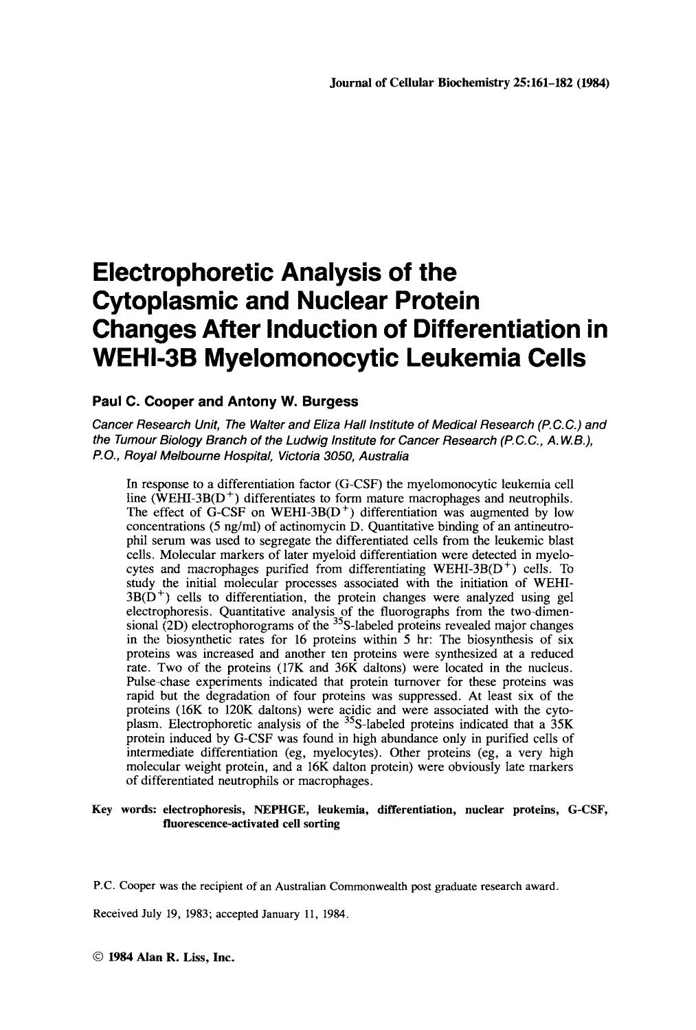 Electrophoretic analysis of the cytoplasmic and nuclear protein changes after induction of differentiation in WEHI-3B myelomonocytic leukemia cells by Unknown