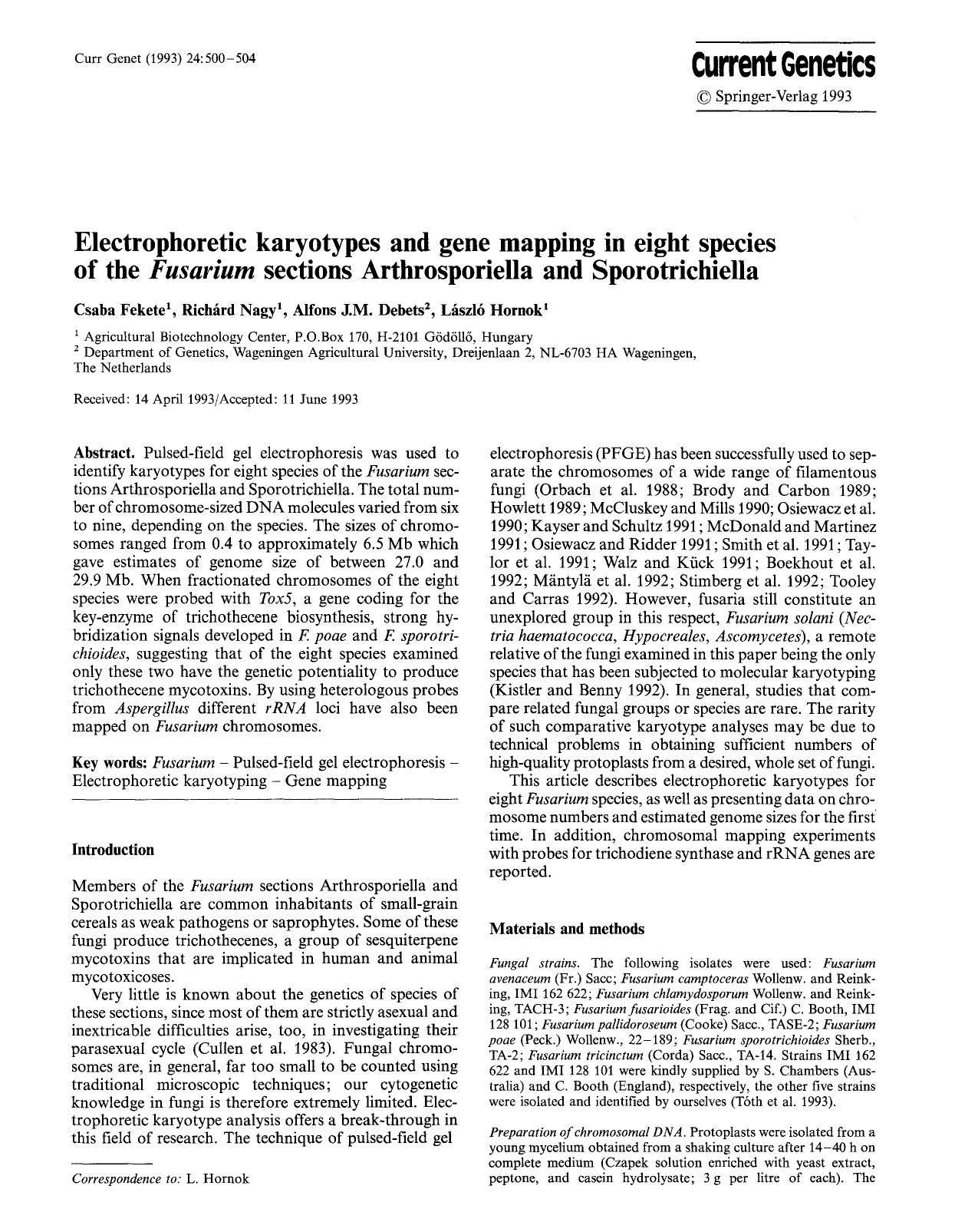 Electrophoretic karyotypes and gene mapping in eight species of the <Emphasis Type="Italic">Fusarium<Emphasis> sections Arthrosporiella and Sporotrichiella by Unknown