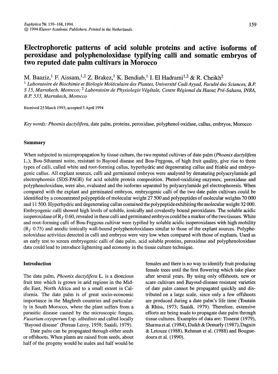 Electrophoretic patterns of acid soluble proteins and active isoforms of peroxidase and polyphenoloxidase typifying calli and somatic embryos of two reputed date palm cultivars in Morocco by Unknown