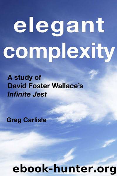 Elegant Complexity: A Study of David Foster Wallace's Infinite Jest by Greg Carlisle