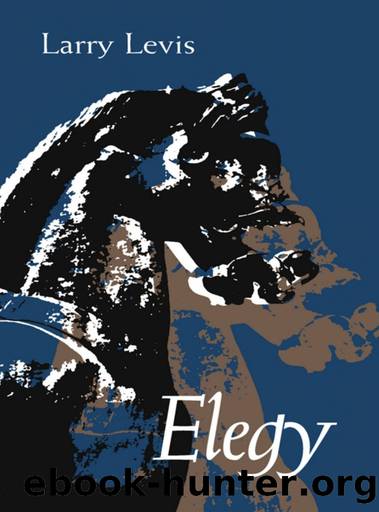 Elegy by Larry Levis