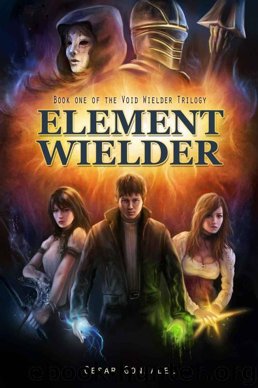 Element Wielder (The Void Wielder Trilogy Book 1) by Cesar Gonzalez