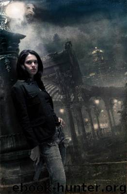 Elemental Assassin 2.5 - Wasted by Jennifer Estep