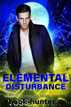 Elemental Disturbance by Voss Foster