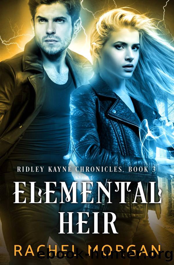 Elemental Heir by Rachel Morgan