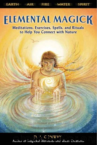 Elemental Magaick: Meditations, Exercises, Spells, and Rituals to Help You Connect With Nature by D. J. Conway