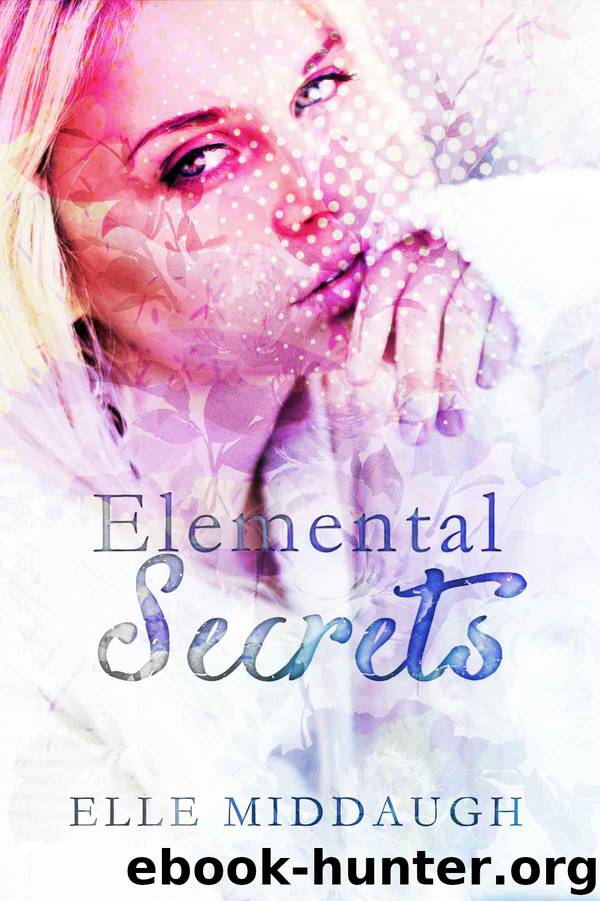 Elemental Secrets (The Essential Elements Book 1) by Elle Middaugh