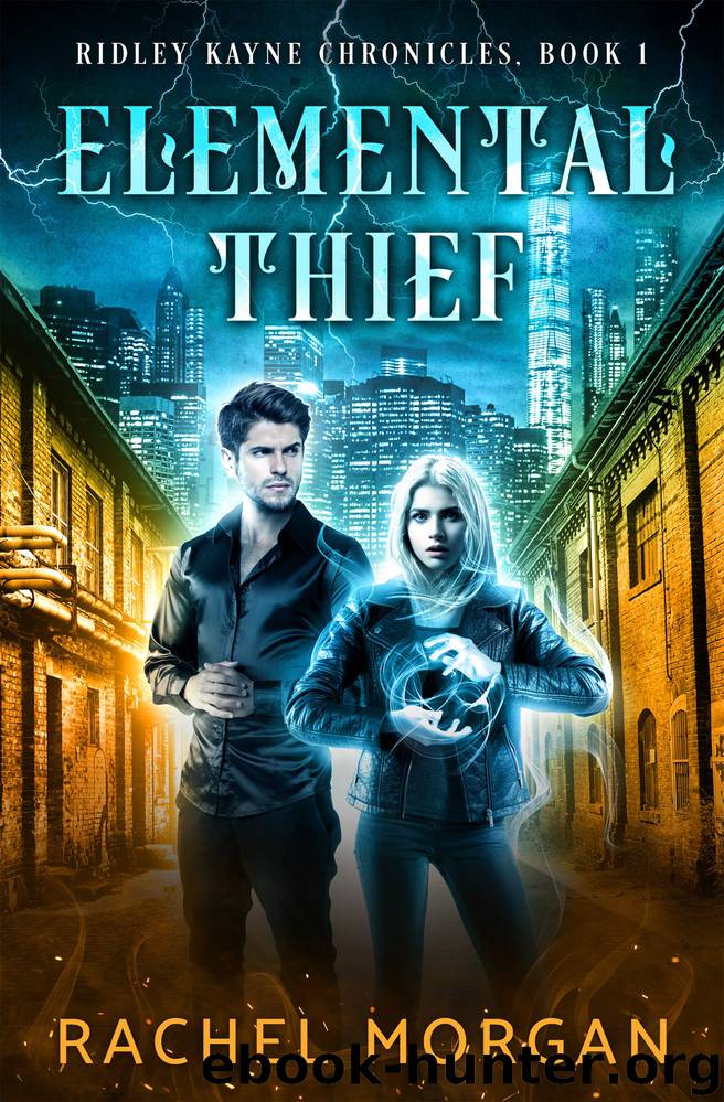 Elemental Thief by Rachel Morgan
