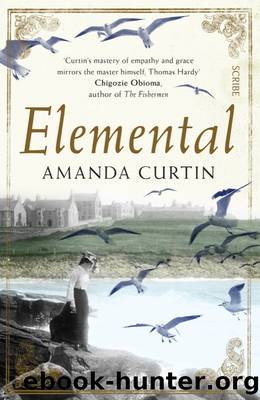 Elemental by Amanda Curtin