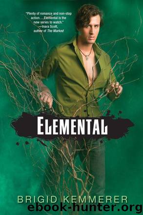 Elemental by Kemmerer Brigid