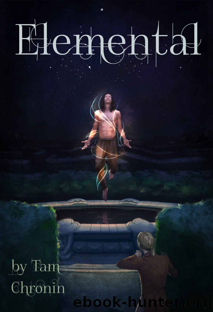 Elemental by Tam Chronin
