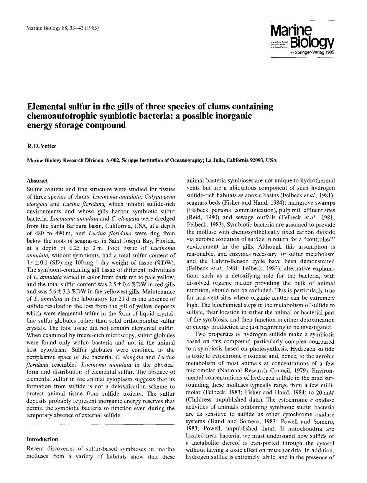 Elemental sulfur in the gills of three species of clams containing chemoautotrophic symbiotic bacteria: a possible inorganic energy storage compound by Unknown