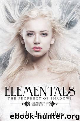 Elementals: The Prophecy of Shadows by Michelle Madow