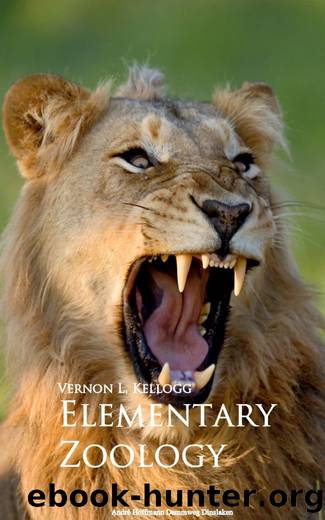 Elementary Zoology by Vernon L. Kellogg