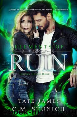 Elements of Ruin (Hijinks Harem Book 2) by C.M. Stunich & Tate James
