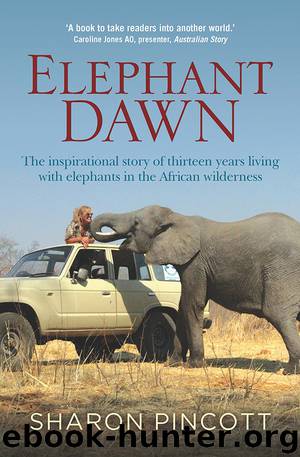 Elephant Dawn by Sharon Pincott