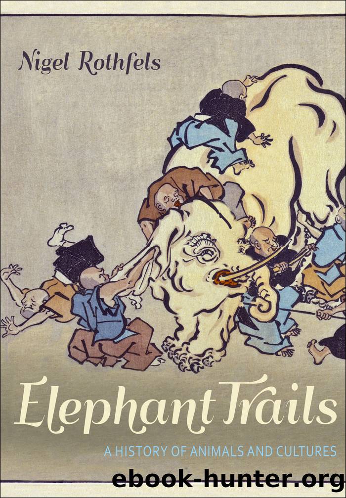 Elephant Trails by Rothfels Nigel;