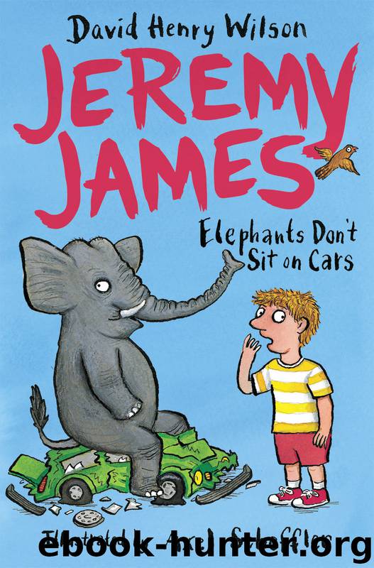 Elephants Don't Sit on Cars by David Henry Wilson