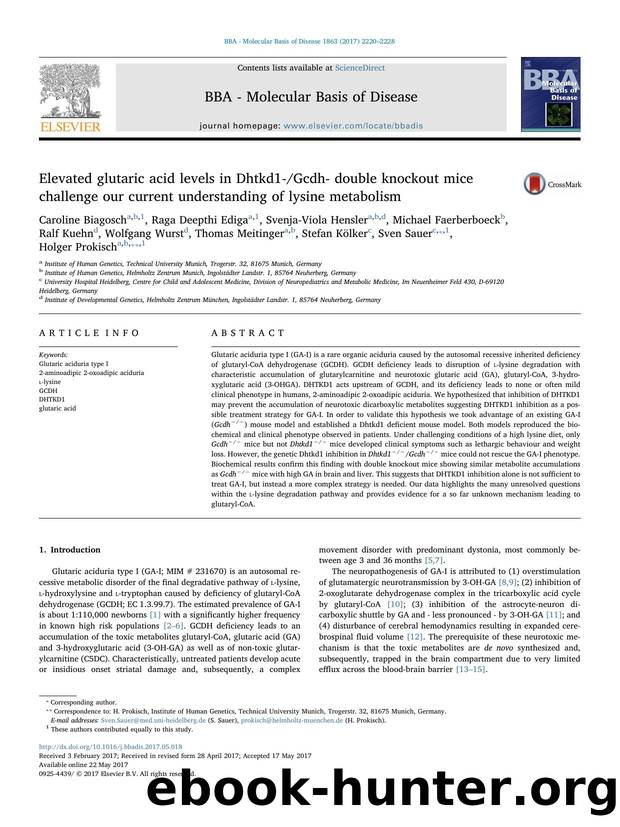 Elevated glutaric acid levels in Dhtkd1-Gcdh- double knockout mice challenge our current understanding of lysine metabolism by unknow