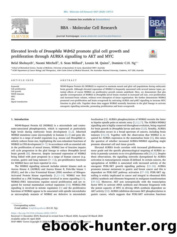 Elevated levels of Drosophila Wdr62 promote glial cell growth and proliferation through AURKA signalling to AKT and MYC by Belal Shohayeb & Naomi Mitchell & S. Sean Millard & Leonie M. Quinn & Dominic C.H. Ng