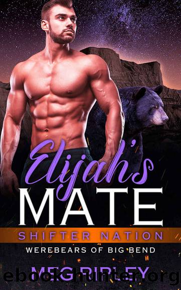 Elijah's Mate~Shifter Nation~Werebears Of Big Bend by Meg Ripley