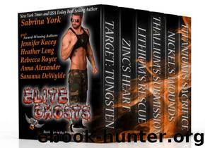 Elite Ghosts: Six-Novel Cohesive Military Romance Boxed Set (Elite Warriors Book 2) by unknow