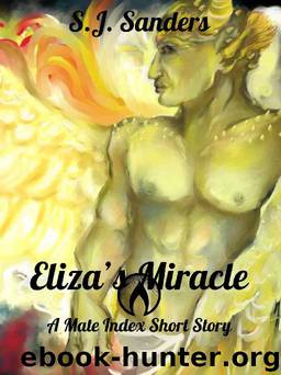 Eliza's Miracle by S J Sanders