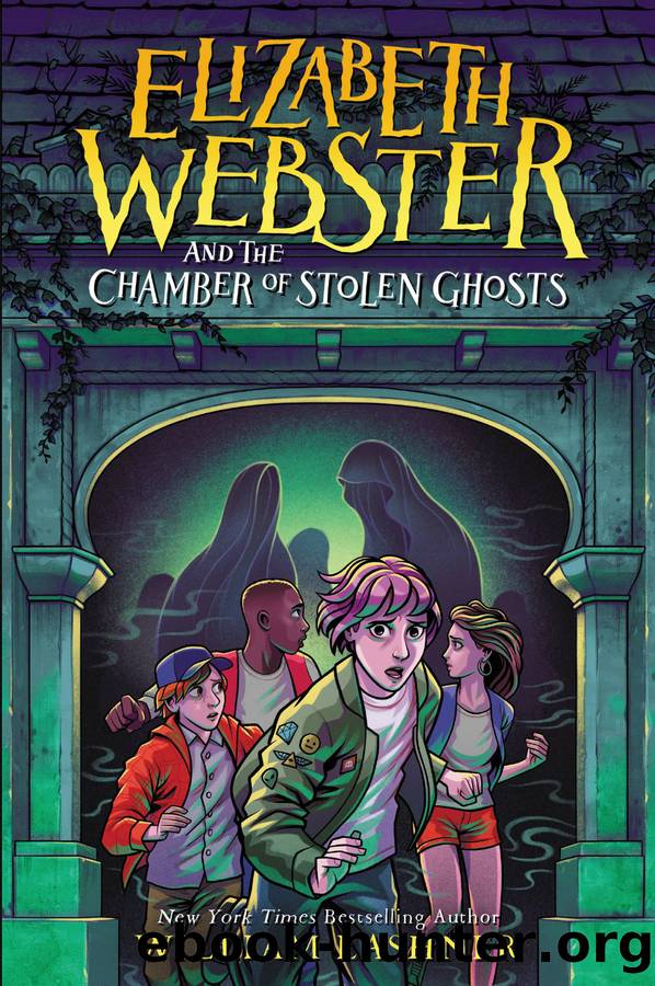 Elizabeth Webster and the Chamber of Stolen Ghosts by William Lashner