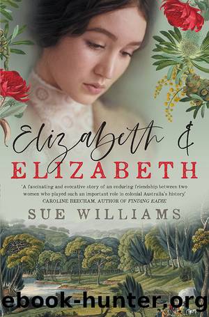 Elizabeth and Elizabeth by Sue Williams