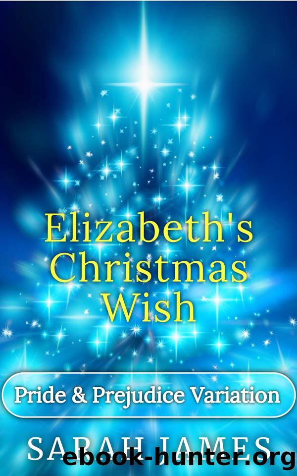 Elizabeth's Christmas Wish: Pride & Prejudice Variation. Book 3. by James Sarah